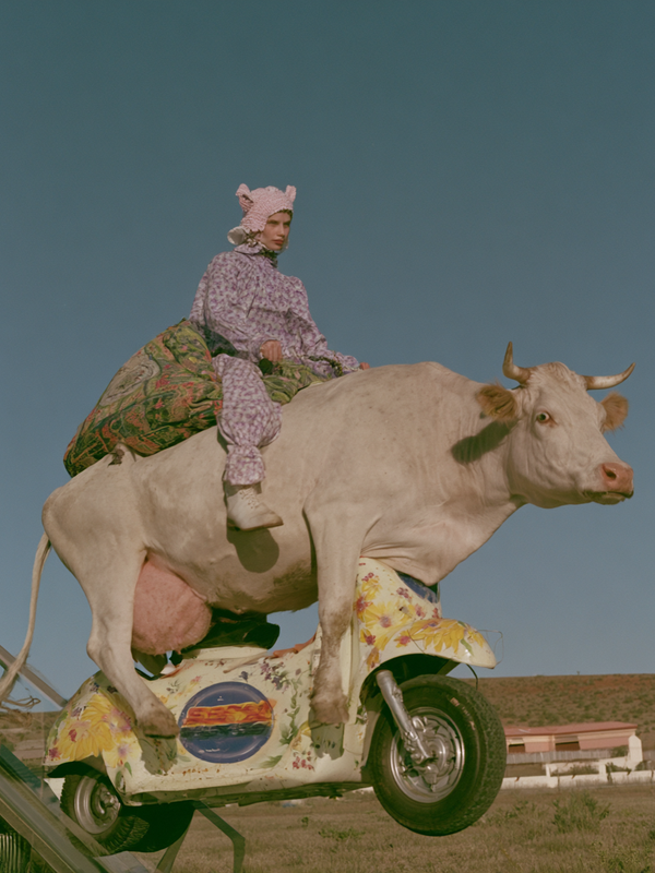 Creative Editorials & Art Projects